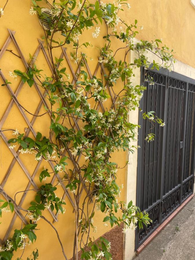 B&B Mela Roggiano Gravina Экстерьер фото